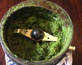 A picture of step 1 of California Farm Annual Lemongrass Citronella Harvest.