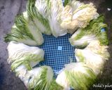 Hình bước làm 1 của món Kimchi or Kimchee