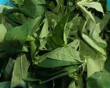 Foto langkah ke 1 dari resep Daun Singkong Tumbuk (Tung Ubi Cak).