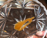 Foto del paso 7 de la receta: Dulce de leche casero