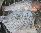 عکس مرحله 2 از دستور ماهی شکم پر جنوبی