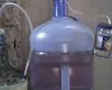 Foto del paso 1 de la receta: Vino de tapara
