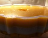 Foto langkah ke 10 dari resep Puding Mangga.
