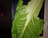 Foto del paso 1 de la receta: Libritos de penca de acelga