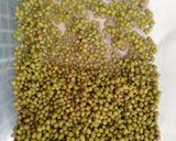 Foto langkah ke 1 dari resep Bubur kacang ijo masak cepat hemat gas 5:30:7.