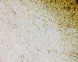 A picture of step 1 of Coconut Burfi.