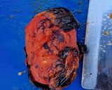 A picture of step 4 of Charred Tomato Salsa.