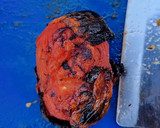Foto del paso 4 de la receta: Salsa de Jitomate Tatemado