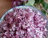 Une image de l'étape 1 de Sirop de Lilas.