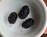 Foto del paso 1 de la receta: Budín de moras silvestres con yogur (zarzamoras)