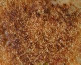 रवा उत्तपम (Rava Uttpam recipe in hindi) रेसिपी चरण 7 फोटो