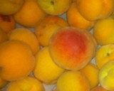 Foto del paso 1 de la receta: Postre de verano con albaricoques y nectarinas