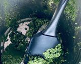 Foto del passaggio 2 della ricetta Sale aromatizzato al basilico