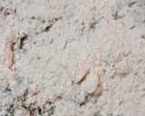 A picture of step 2 of Jawar muli paratha.