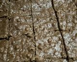 Foto del paso 1 de la receta: Torta de chocolate