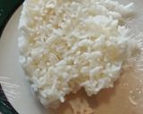 Foto del paso 1 de la receta: Bola de arroz con puerco