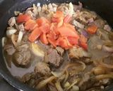 A picture of step 2 of Sig's Beef, Morrocan Inspired.