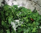 ভাজা শুকনো লঙ্কা দিয়ে কুমড়ো পাতা বাটা ( bhaja shukno lonka diye kumro pata bata recipe in Bengal রেসিপি ধাপ - 1 ছবি