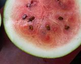 A picture of step 2 of Watermelon Fizz.