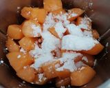Une image de l'étape 2 de Sorbet melon.