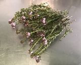 Une image de l'étape 1 de Marinade au vinaigre de vin, ail et herbes aromatiques.