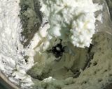 মহারানী পায়েস (Maharani Payes recipe in bengali রেসিপি ধাপ - 5 ছবি