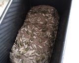 A picture of step 3 of Seeded Rye Sourdough.