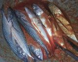 Foto langkah ke 7 dari resep Ikan Bakar Asam Manis.