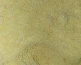 Foto del paso 6 de la receta: Macarrons