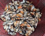 Foto langkah ke 1 dari resep Tumis kerang pedas manis.