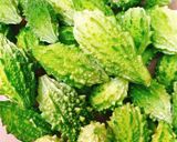 Hình bước làm 1 của món Canh Khổ Qua Mini Nhồi Thịt