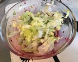 Une image de l'étape 5 de Salade composée (chou rouge,scarole,tomate et concombre).