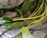 Foto langkah ke 1 dari resep Telur Dadar Kangkung.