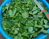 A picture of step 2 of Mix saag { Methi, Sarson, Suva, thom(spring onion green) }.
