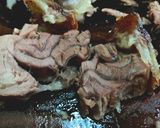รูปขั้นตอนการทำที่ 6 ของ ขาหมูเยอรมัน (Pork Knuckle)