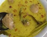 Foto langkah ke 10 dari resep Opor Ayam.