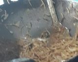 A picture of step 4 of Noodles.