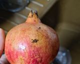 Foto del paso 6 de la receta: 122. Macedonia de Frutas