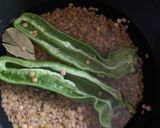 A picture of step 3 of Lentejas (Spanish cuisine).