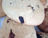 Foto del paso 8 de la receta: Galletas de Mantequilla con Pepitas de Chocolate Rellenas de Nocilla