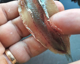 Foto del paso 2 de la receta: Boquerones adobados en vinagre