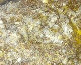 Foto del paso 3 de la receta: Coconut Caramel Flaxseed Cookies