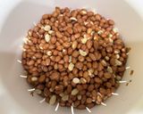 A picture of step 1 of Adobong Mani (Garlic Peanuts).