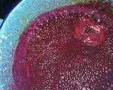 Foto del paso 9 de la receta: Nieve de Chocolate con culis de Jamaica y galleta de masa quebrada