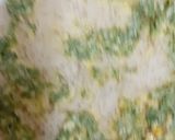 A picture of step 6 of Shahi Vegetable Biryani.