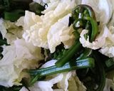 Foto langkah ke 1 dari resep Sayur bening pakis.