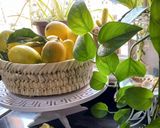 صورة لخطوة 4 من وصفة رولي الليمون 🍋🍋