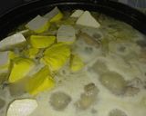 Foto langkah ke 3 dari resep Opor cinta.