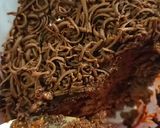 Foto langkah ke 5 dari resep Bolu Coklat Lumer.