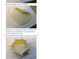Canastitas de caprese